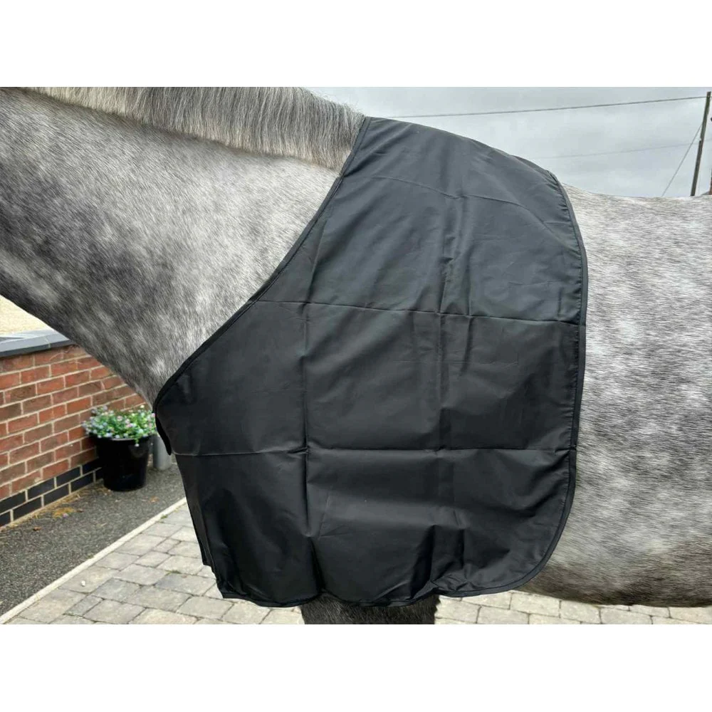New Arrival